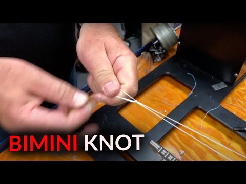 How To: Tie a Bimini Knot and Attach a Wind On Leader