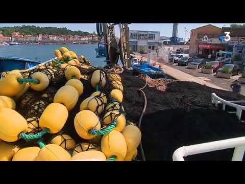 Les thoniers de Port-Vendres se préparent pour la campagne de pêche 2018
