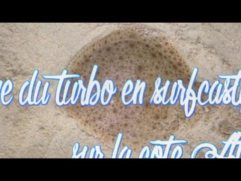 SurfCasting : Pêche du turbot en hiver