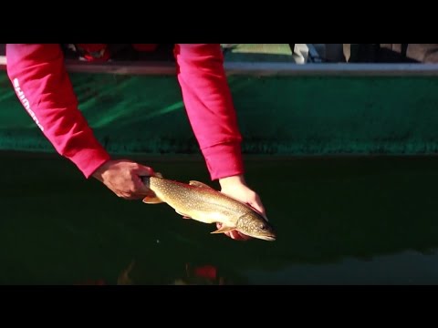 La remise à l&#039;eau : Devenez un PRO