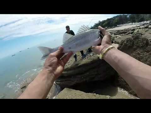 Pêche de six bars à Noirmoutier
