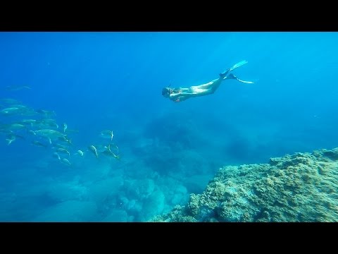 Réserve naturelle marine de Cerbère-Banyuls | Natural Marine Reserve of Cerbère-Banyuls