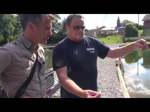 Techniques de pêche de la truite en étang