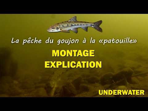 Pêche facile pour l&#039;été, friture et goujon à la patouille ! UNDERWATER - GOPRO HD1080p