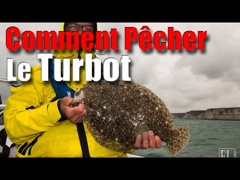 TURBOT : Comment Pêcher ce Poisson aux leurres