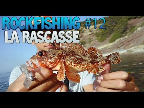 ROCKFISHING #12 la masta rascasse