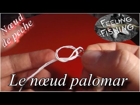 Nœud de peche : le nœud palomar ( agrafe, émérillon )