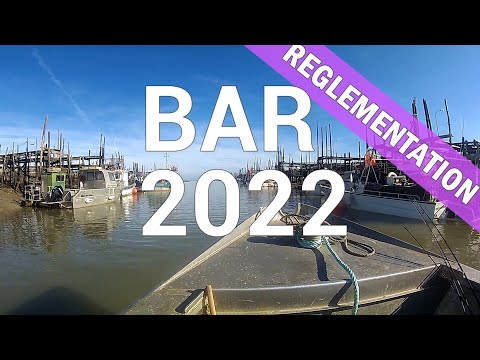🐟 REGLEMENTATION pour la PECHE DU BAR 2022 et quotas de pêche 🐟