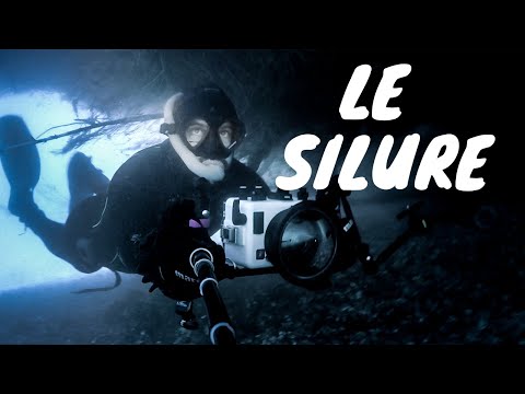 Le plus gros poisson de nos rivières! ( Silure Glane)