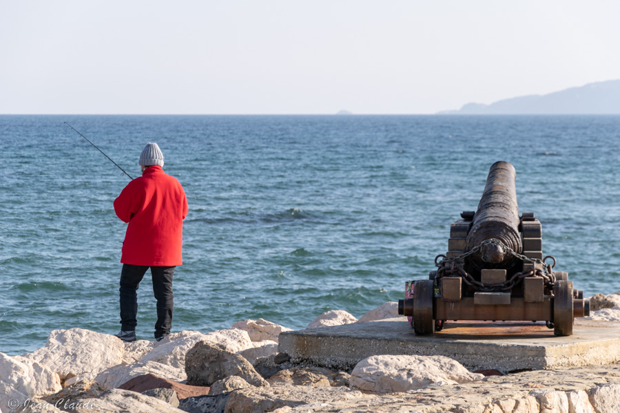 Pêche au port de La Londe, Var 2022