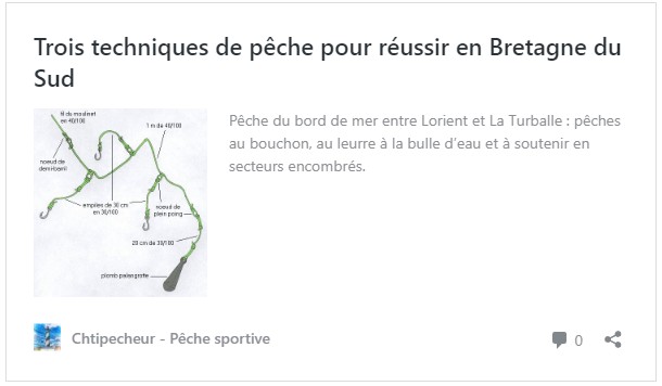 Trois techniques de pêche pour réussir en Bretagne du Sud