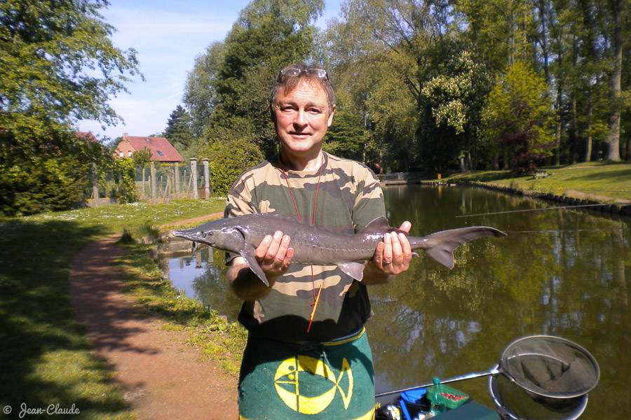 Esturgeon de 3,5 kg