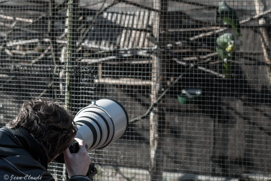 Photographe au zoo de Lille, 2013