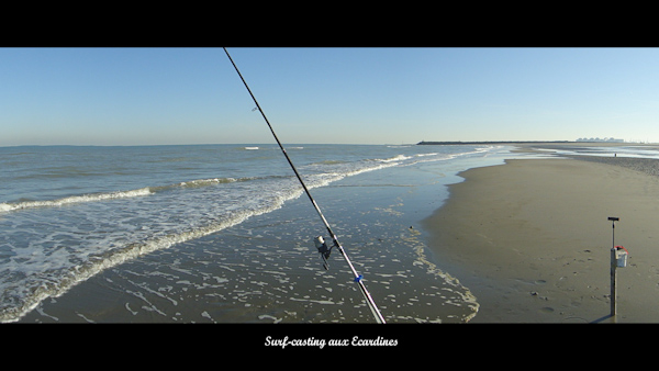 Surfcasting aux Ecardines