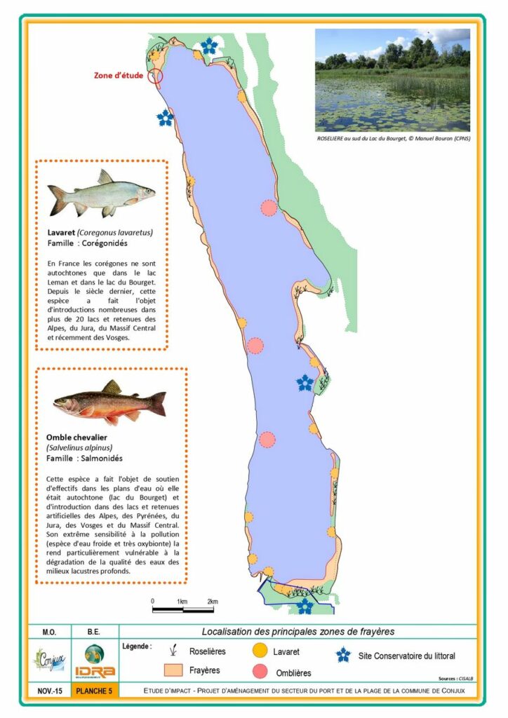 Zones de frayères de lavaret et d'ombles chevalier au lac du Bourget. - (Etude d’impact – Projet d’aménagement port et plage de Conjux page 98, 2016)