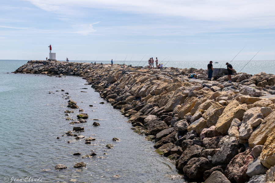 Pêche au Port Gardian (les-Saintes-Maries-de-la-Mer), 2014