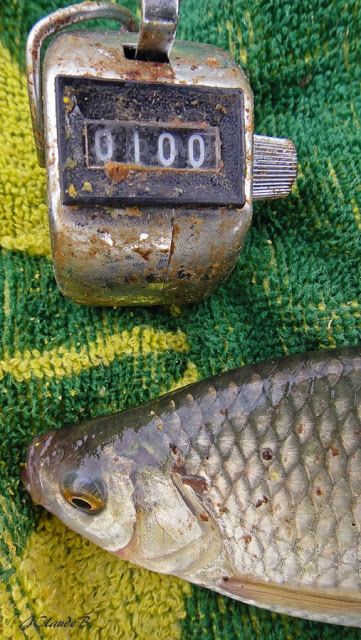 Compteur à 100