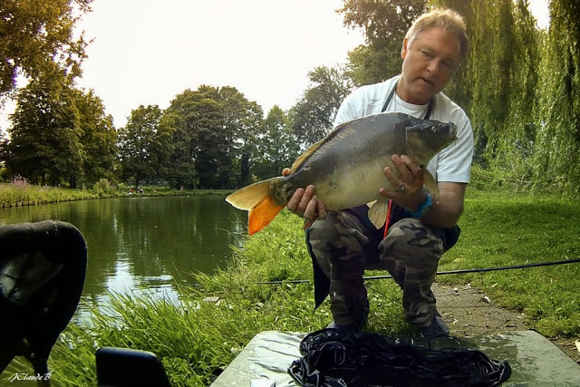 Carpe de 5 kg