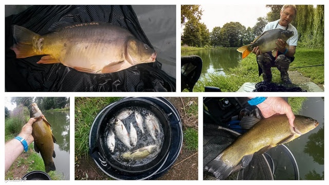 Montage photo de la session de pêche