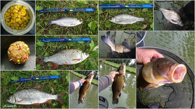 Montage photo de la partie de pêche