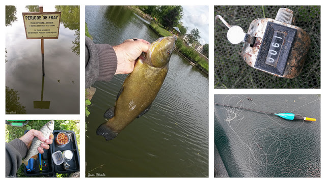 Montage photos de la séance de pêche