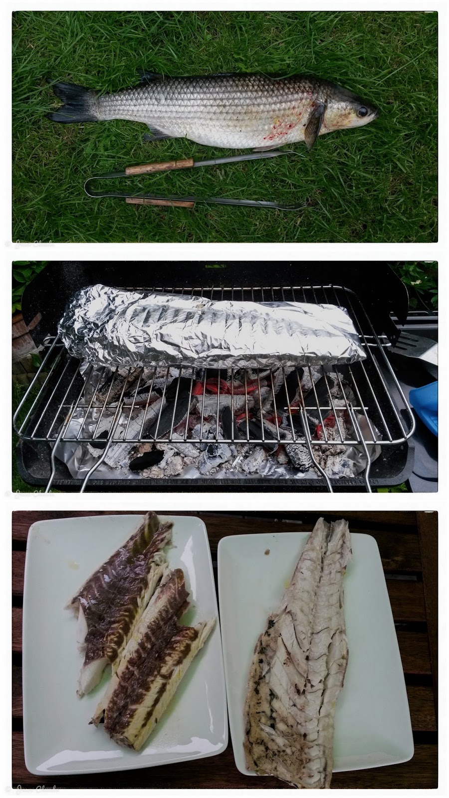Montage photo: Mulet et BBQ