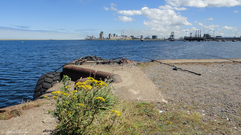 Le bassin minéralier de Dunkerque