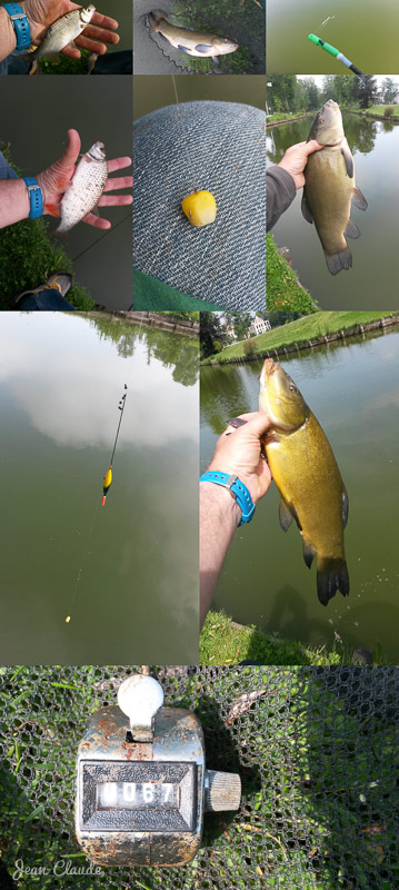 Montage photos de la partie de pêche.