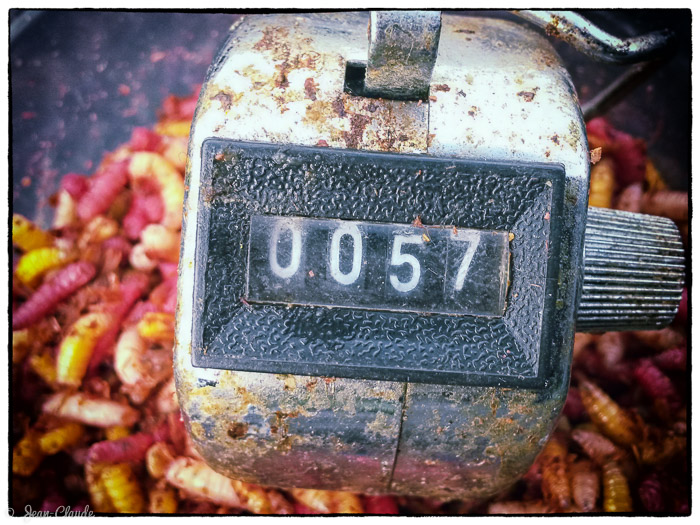 Compteur de pêche à 57