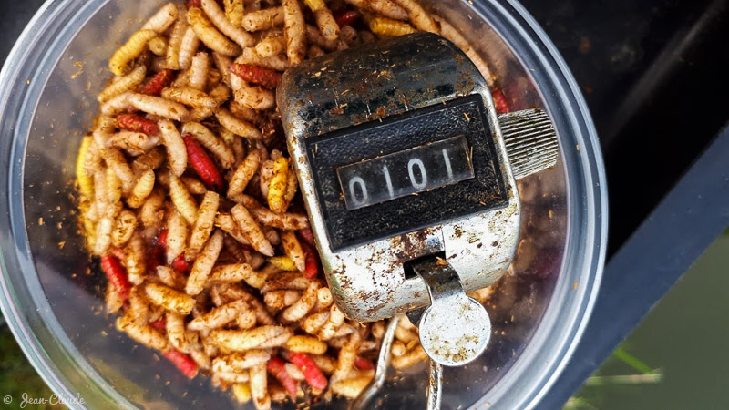 Compteur de poisson à 101