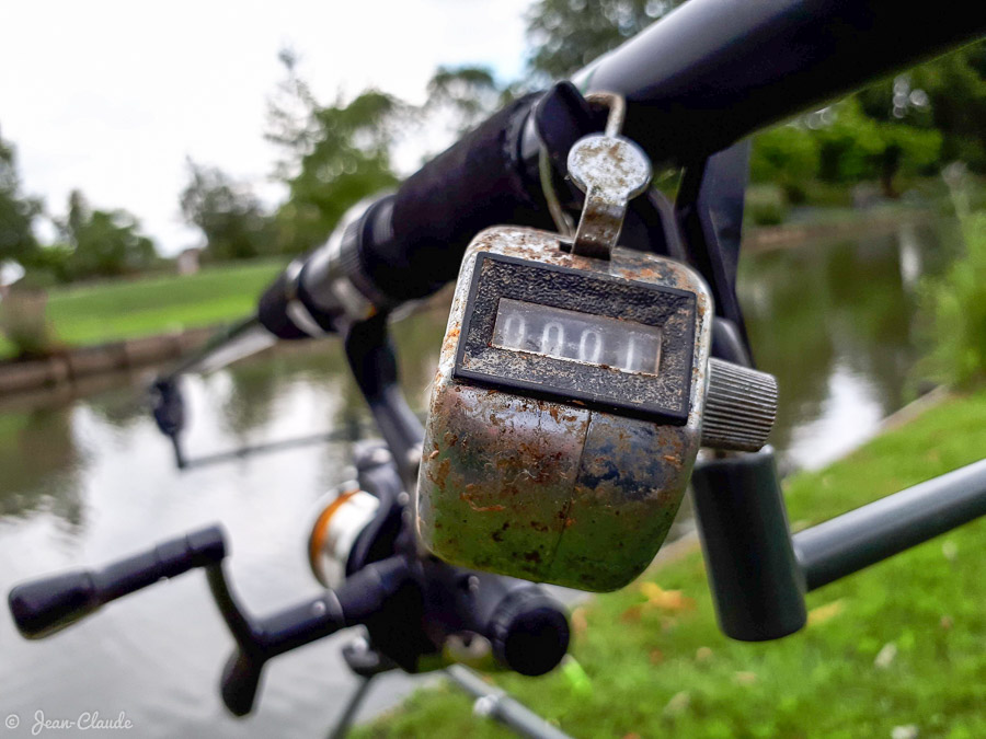 Compteur de poissons sur la canne carpe