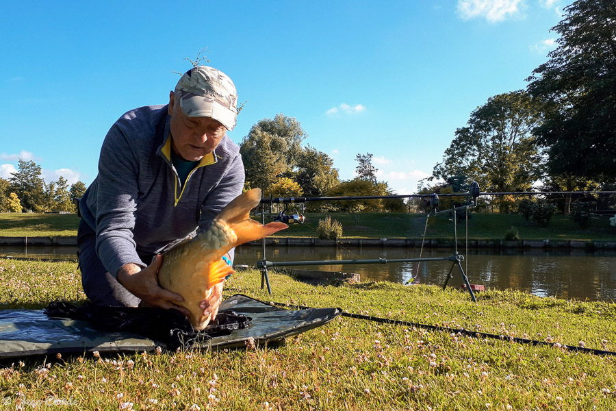 Carpe 4,5 kg pris au lancer