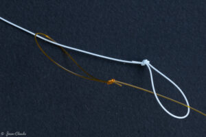 Boucle dans boucle
