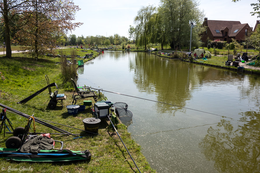 Etang de Wambrechies - Américaine, la pause déjeuner, 2016