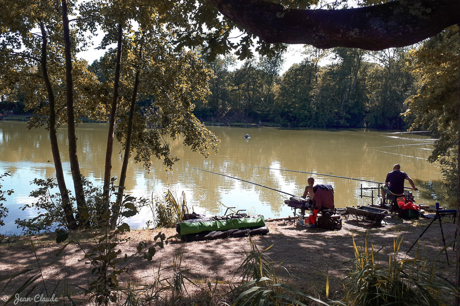 Etang de pêche à truites. - Templeuve Belgique, 2015