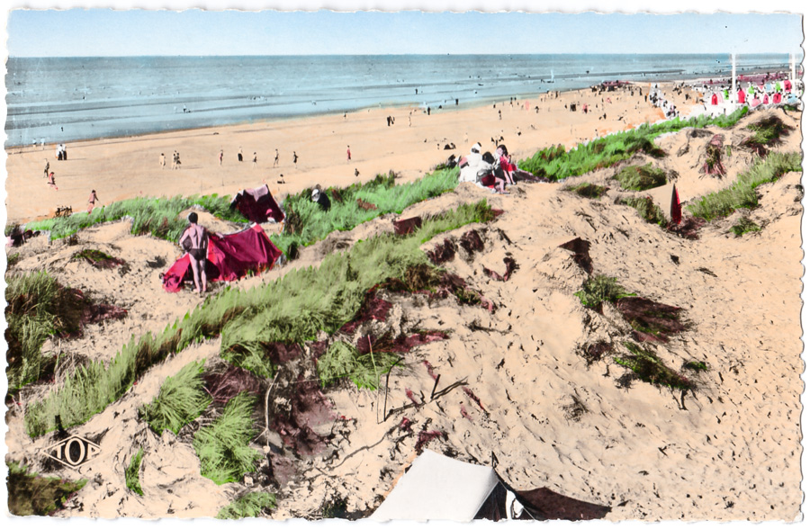 79 – BRAY-DUNES (Nord) – Les Dunes – Edition J. TOP