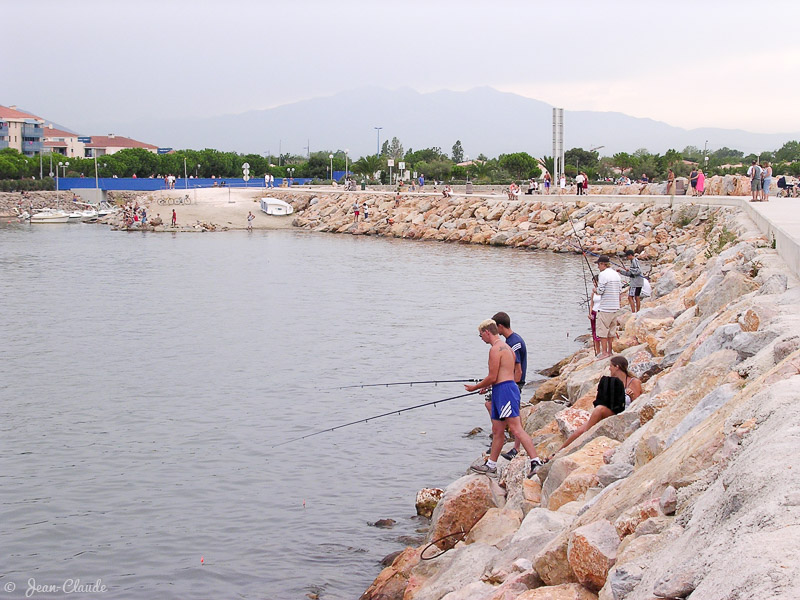 Pêche au coup à Argelès-port, 2003