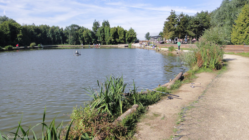 Un étang de pêche à la truite, Belgique 2018