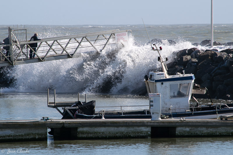 Port de Morin - grande marée, 2018