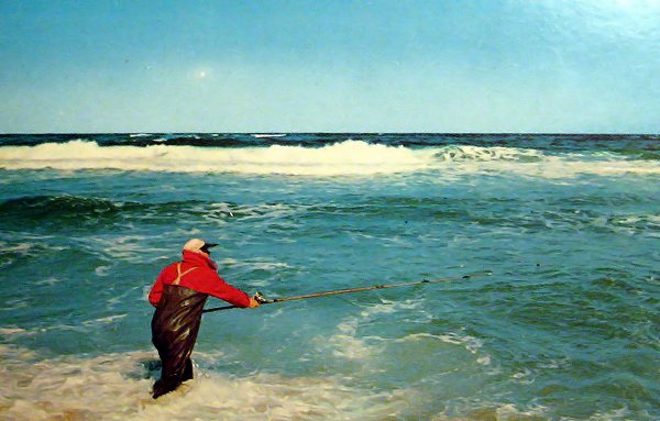 Surf-Fishing - Shediac New-Bruswick Canada Postcard - www.blujay.com