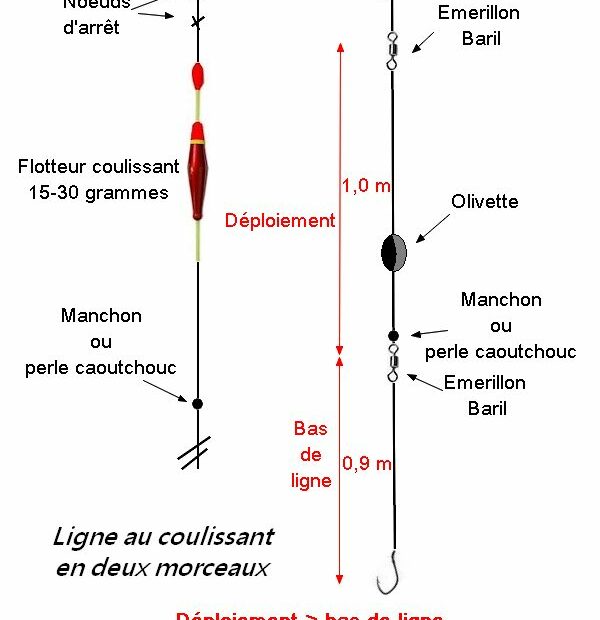 Coulissant en 2 morceaux pour un meilleur déploiement