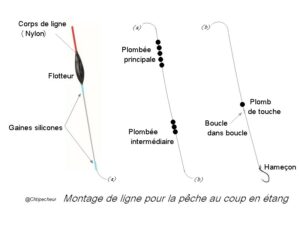 Schéma d'une ligne pour la pêche au coup