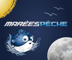 mareespeche logo
