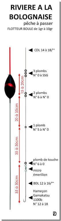 Montage bolognaise avec flotteur fixe. - Figure 1max2peche.com
