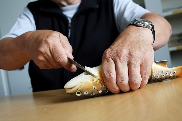 Truite en silicone pour expliquer comment étourdir puis égorger un poisson (Source : www.24heures.ch - Image: STEEVE IUNCKER GOMEZ)