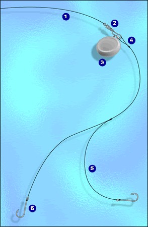 Ligne dérivante double (source figure ex-atoutmer)