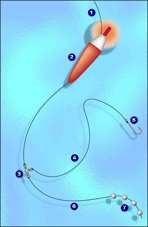 Flotteur lumineux