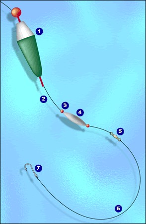 La ligne flottante