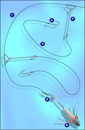 Le surfcasting normand