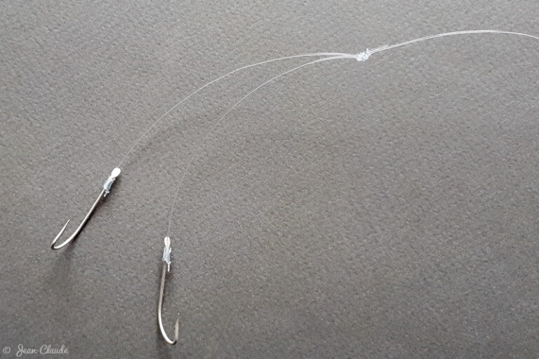 Comment pêcher le bar en surfcasting